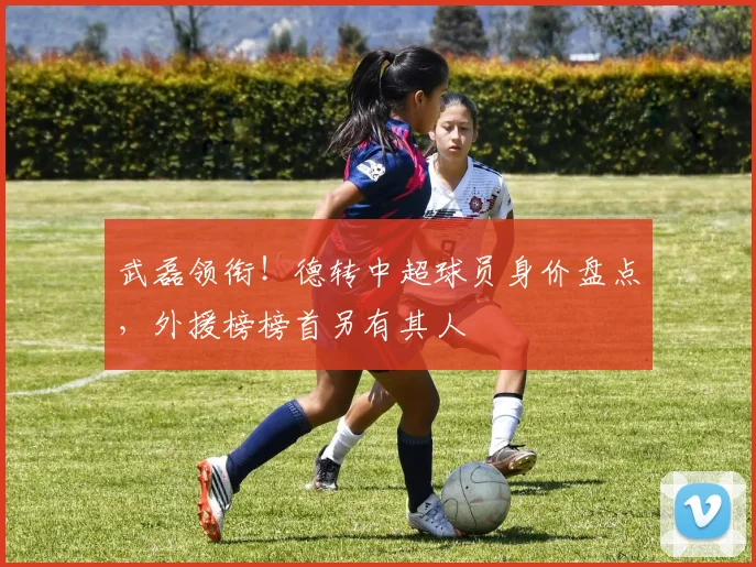 武磊领衔！德转中超球员身价盘点，外援榜榜首另有其人